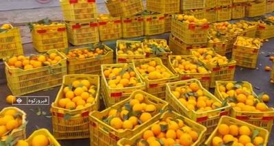 ببینید / یاری مردم به راننده کامیون واژگون شده حامل مرکبات در فیروزکوه