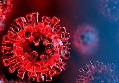 وزارت بهداشت: موج ابتلا به عفونت‌های تنفسی در کشور شتاب گرفته/کودکان در خط مقدم ابتلا به سوش جدید