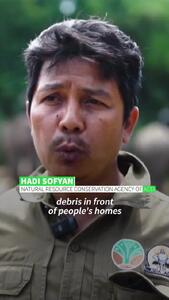  کمک فیل‌ها برای پاک‌سازی آوار در مناطق سیل‌زده اندونزی