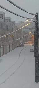 بارش برف از سردشت تا نهاوند