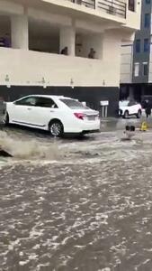 شاد و وجد از بارش باران شدید در عربستان