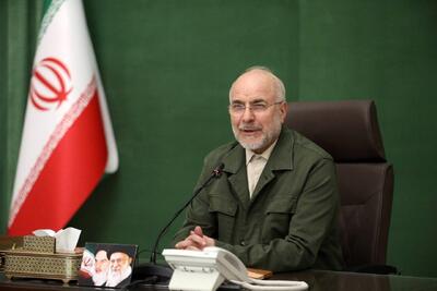 زنان در فسادستیزی از مردان جلوترند/ لایحه حمایت از زنان نباید بیش از این معطل بماند