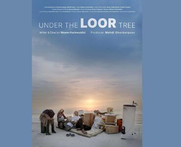 پوستر و «زیر درخت لور» رونمایی شد