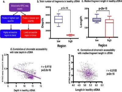  تکمیل نقشه ژنتیکی با نقشه اپی‌ژنتیک