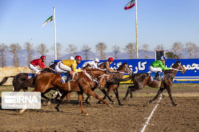 پادشاهی سرعت در آغاز هفته پنجم اسبدوانی گنبدکاووس+‌فیلم