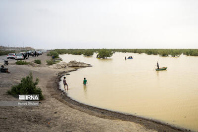 لزوم تدوین قانون حفاظت از محیط‌زیست دریا/تأمین حقابه تالاب‌ هامون در چارچوب دیپلماسی فعال