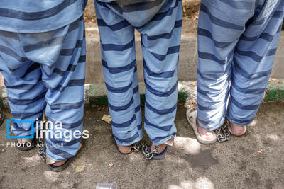 دستگیری ۱۶۷ سارق و مالخر در البرز؛ کشف ۷۳۴ فقره سرقت