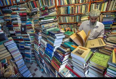 خودآگاهی زبان شاعرانه در «درخت‌ها فرار نمی‌کنند»