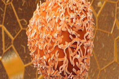 کیت نانویی تشخیص خون مخفی برای پایش سرطان روده