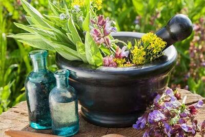  تولید اسانس از گیاهان دارویی یکی از اولویت های اقتصاد کشور است