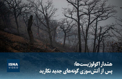  ویدیو/ هشدار اکولوژیست‌ها؛ پس از آتش‌سوزی، گونه‌های جدید نکارید