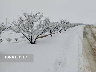  تشدید بارش‌ها در آذربایجان غربی