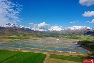 اگر امروز خاک اصفهان را نجات ندهیم، فردا غذایی نخواهیم داشت