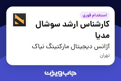  استخدام کارشناس ارشد سوشال مدیا در آژانس دیجیتال مارکتینگ نیاک