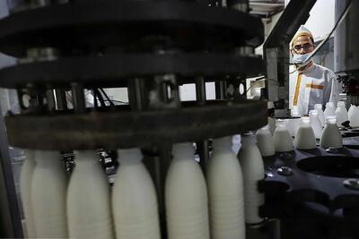 خبر مهم وزیر کشاورزی برای کالابرگ بگیران؛ افزایش قیمت لبنیات اصلاح می شود؟