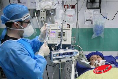 از حجامت تا دمنوش؛ راهکارهای طب ایرانی برای بهبود آنفلوآنزا - کلبه سرگرمی