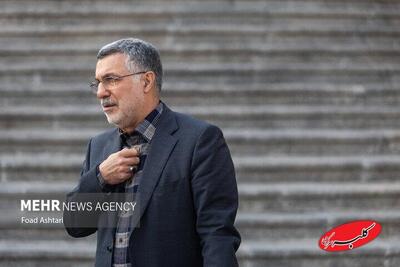  ظفرقندی: دستورالعمل‌های آنفولانزا صادر شده است - کلبه سرگرمی
