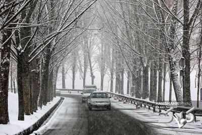 برف و باران ۲۰ استان کشور را فرا می‌گیرد - مجله اینترنتی کولاک