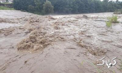 گرفتار شدن خودروها در «استخر بزرگ» + ویدئو | تصاویری از آبگرفتگی شدید در جاده دهلران - اندیمشک - مجله اینترنتی کولاک