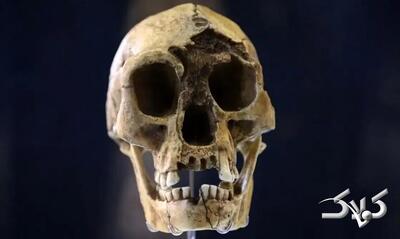 نظریه جدید درباره علت انقراض «هابیت‌ها» - مجله اینترنتی کولاک