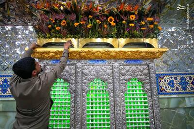 عکس/ گل‌آرایی ضریح امامین عسکرین برای ولادت مادر سادات