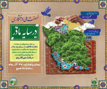  محمدی: پویش درختکاری «در سایه مادر» در ۱۲ شهرستان مرکزی برگزار می‌شود