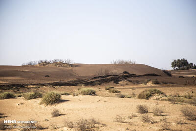 تأکید بر استانداردسازی مواد تثبیت‌کننده خاک در یک کارگروه ملی