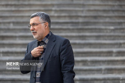 ظفرقندی: دستورالعمل‌های آنفولانزا صادر شده است