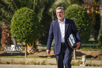 وزیر بهداشت: تعداد مبتلایان به آنفلوآنزا و افراد بستری نسبت به سال گذشته تغییر نکرده است