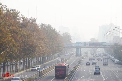 طرح زوج و فرد از درب منزل و سردرگمی مردم در میان اختلافات مسئولان
