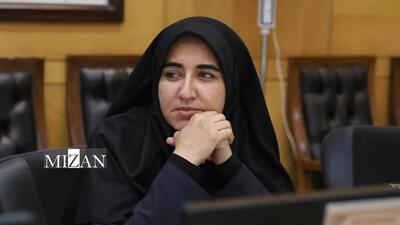  عضو کمیسیون امنیت ملی: جزایر سه‌گانه باید توسعه یابند