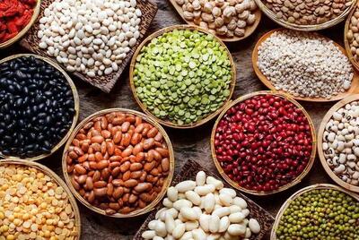 تصمیم دولت برای ساماندهی بازار؛ کاهش قیمت لوبیا چیتی در راه است؟