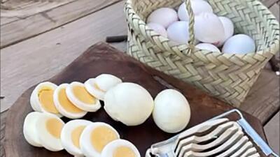 رژیم غذایی بدنسازها چه باید باشد؟ / فیلم