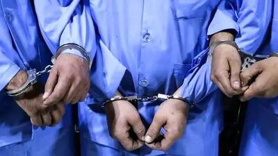 رازگشایی از سرقت ۱۵ میلیاردی تجریش بعد از دو سال / خواهر شاکی در ماجرا نقش کلیدی داشت!