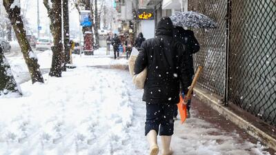 این استان ها منتظر بارش برف سنگین باشند + جزئیات هواشناسی امروز