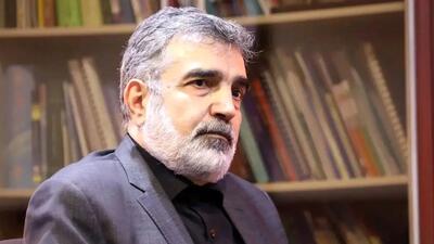 چالش‌ها و همکاری‌های ایران و آژانس بین‌المللی انرژی اتمی از نگاه سخنگوی سازمان