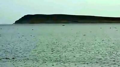 خبر خوش درباره دریاچه ارومیه / بارش باران بر دریاچه ارومیه + فیلم