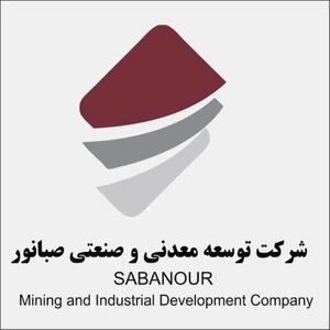  معاون اقتصادی و مالی هلدینگ صبانور منصوب شد