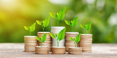 درخشش صندوق‌های طلا و اهرمی در بازار سرمایه