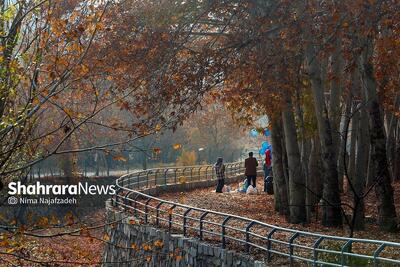 پیش‌بینی هواشناسی مشهد و خراسان رضوی، امروز (چهاشنبه، ۱۹ آذر ۱۴۰۴) | جمعه، هوا شدیداً سرد می‌شود