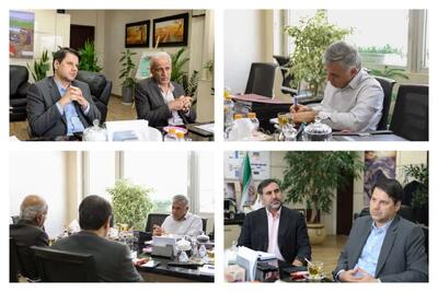 تأکید اسماعیلی بر تکمیل به‌موقع پروژه آهن اسفنجی بیجار