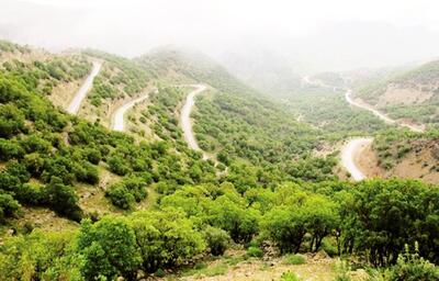 فقر به کوهستان رسید