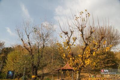 تهران سرد می‌شود