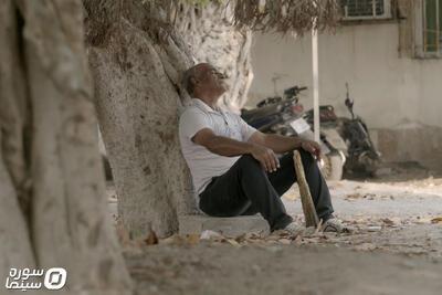 پوستر و تیزر مستند «زیر درخت لور» رونمایی شد - سوره سینما