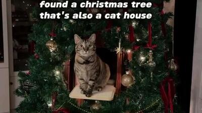  درخت کریسمس اختصاصی برای گربه ها