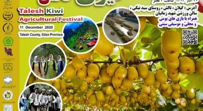  جشنواره شکرانه کیوی در تالش؛ نمایش توان تولید و فناوری کشاورزی گیلان