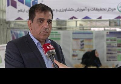 تولید 13 رقم جدید بذر گندم و 13 رقم سیب‌زمینی بذری ‌در استان ایلام‌   فیلم - تسنیم