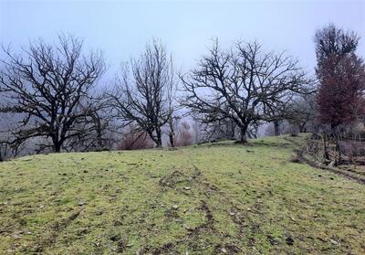 افزایش دما و افت شدید بارش‌ها در خراسان جنوبی - تسنیم