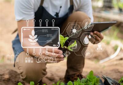 نمایشگاه الکامپ مازندران با نگاه تحولی برپا می‌شود - تسنیم