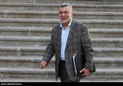 ظفرقندی: در پیک آنفولانزا هستیم/ دستورالعمل‌های لازم صادر شده است - تسنیم